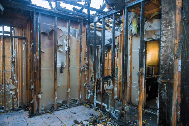 Professional Odor Removal technician working in La Porte, IN